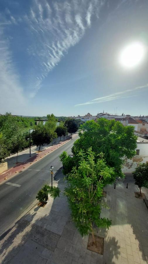 Apartamentos Ribera 19 Кордова Екстер'єр фото